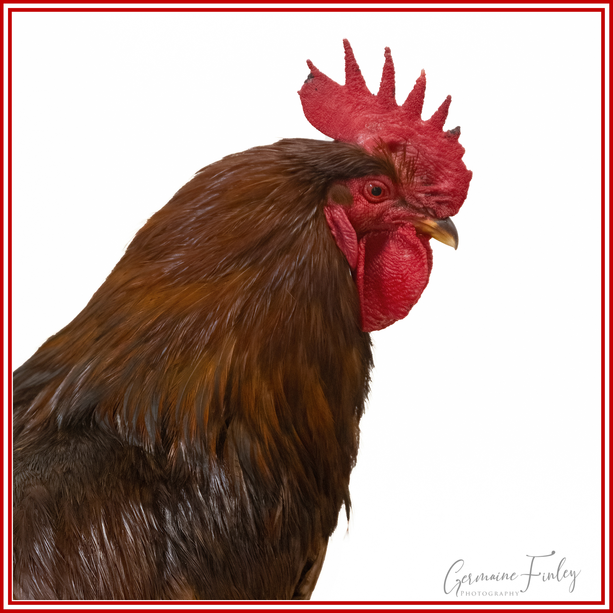 Meeting Photo Slide Show